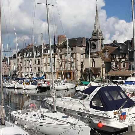 La Salamandre